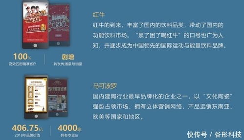 谷形科技 專業Java定制開發與營銷推廣服務，助力企業數字化升級