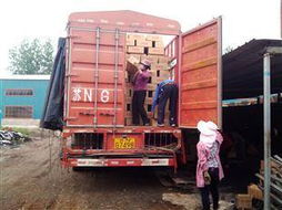 供應(yīng)順風(fēng)無(wú)煙木炭與機(jī)制木炭廠尋源指南