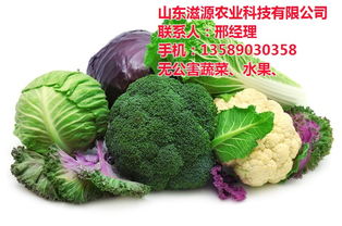 滋源農(nóng)業(yè) 淄博無(wú)公害蔬菜批發(fā)新選擇，新鮮直達(dá)餐桌